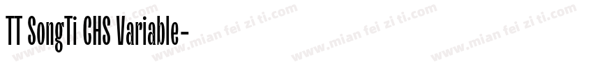 TT SongTi CHS Variable字体转换